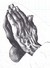 Durer's Praying Hands by an unknown student