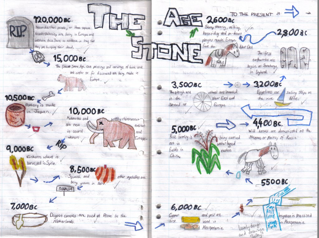 Shelley 7X Timeline Stone Age 2010 copy