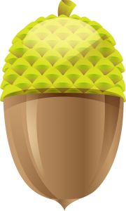 oak_acorn